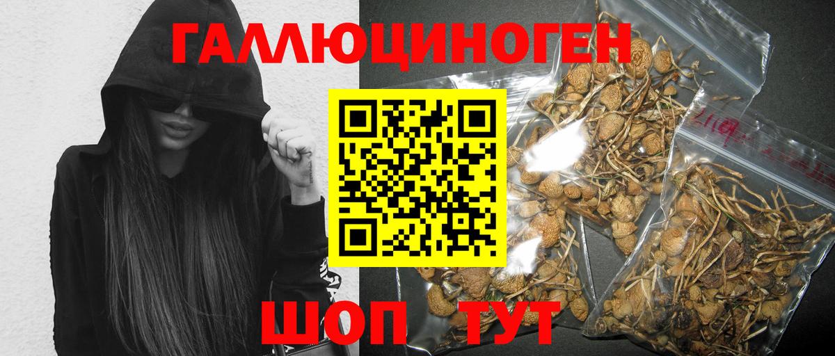 Чапаевск  Галлюциногенные грибы Psilocybe  Псилоцибиновые грибы прущие грибы  Вход с VPN 